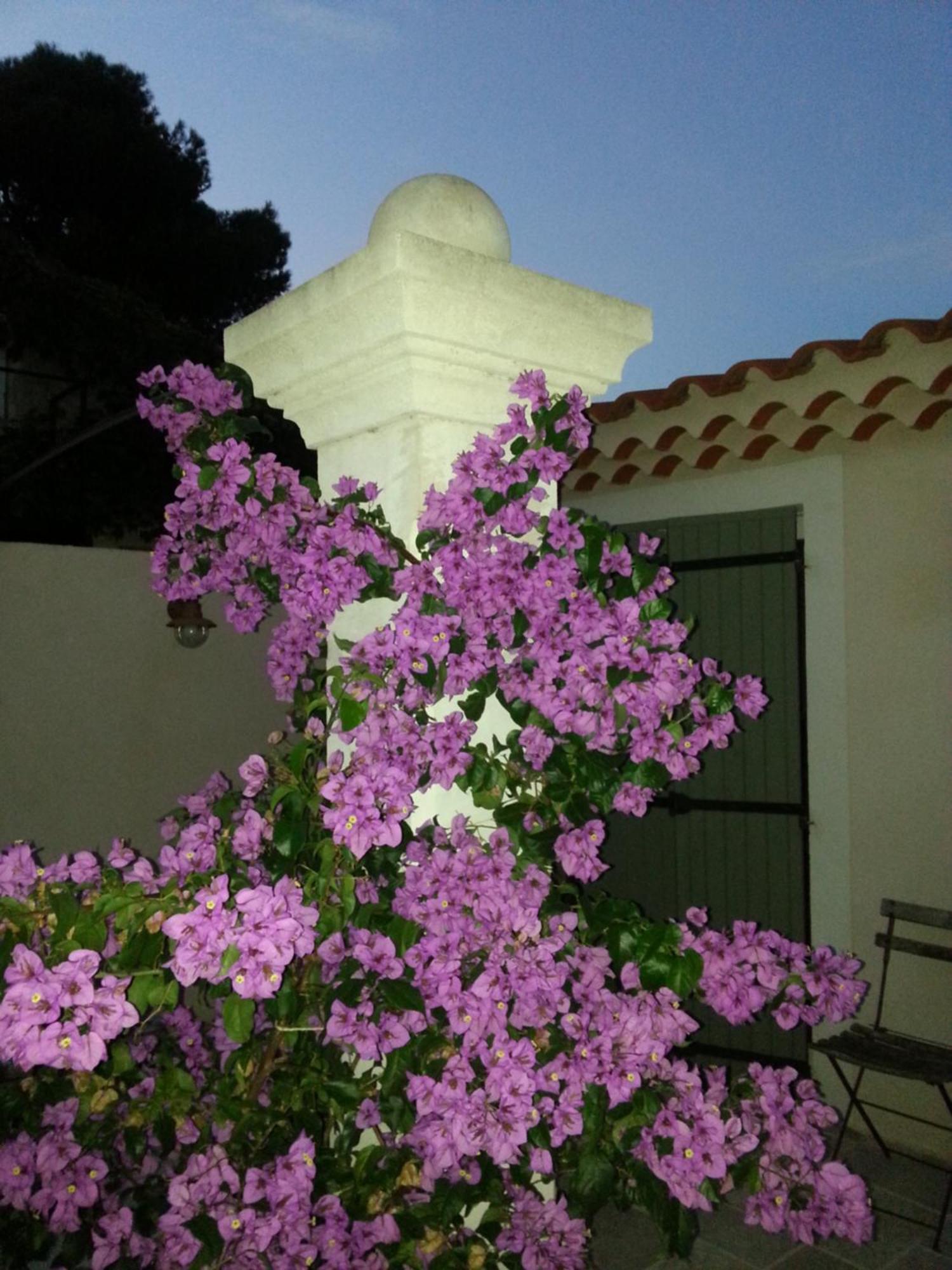 Gite Le Felibre Châteauneuf-lès-Martigues Zimmer foto